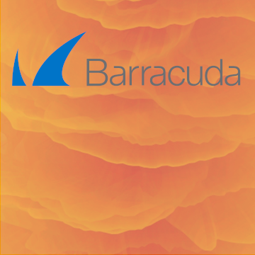LOOPHOLD now offers Barracuda NG Firewall
