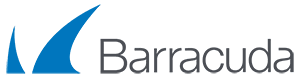 Barracudax300 LOOPHOLD now offers Barracuda NG Firewall